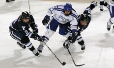 开云下载-赛道与球场，上海体育周末的双重奏