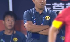 开云体育平台APP-霍芬海姆惜败，遗憾失去积分机会的简单介绍
