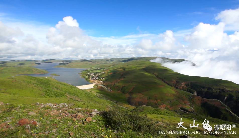 包含东南亚足球协会表现惊艳，夺得胜利的词条